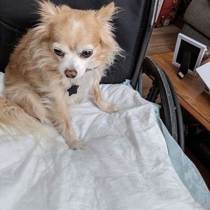 Meet your Posher, Jim